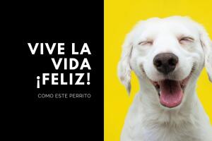 vive_la_vida_feliz.jpg