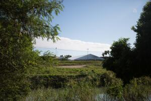 exports rick (14 of 14).jpg