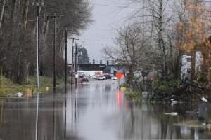 AP25352084732030 (1).jpg