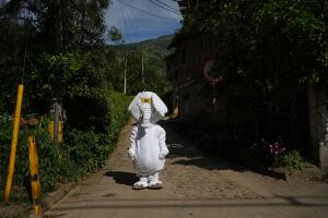 ELEFANTE BLANCO  (1).JPG