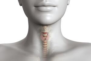 pescoco-tireoide-1216-1400x800.jpg