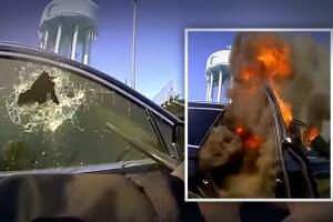 Rescate en Nueva York