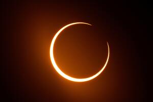 AP26042747796272 (1).jpg