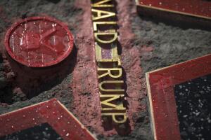 estrella Donald Trump