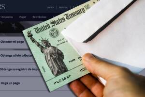 cheque irs page.jpg