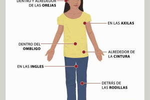 Vea cuidadosamente estas partes del cuerpo