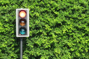 transito-leve-decarona-3.jpg
