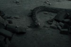 nagini harry potter.jpg