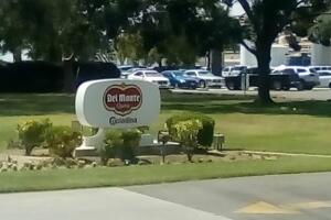 delmonte-foods.jpg