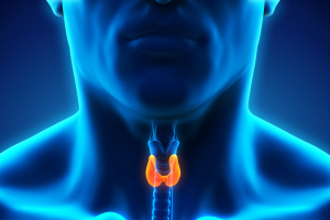glandula-tireoide-homem-0117-1400x800.png