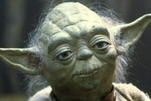 yoda maestro jedi 