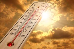 Cómo sobrevivir el extremo calor de la canícula