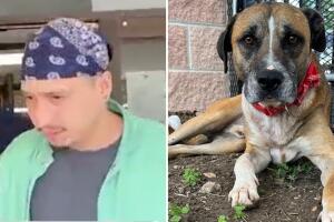 John Christopher Schafer perro apuñalado crueldad animal San Antonio