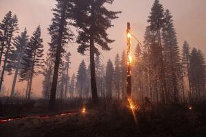 California Wildfires North Complex