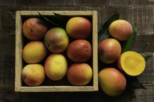 mangos_en_caja.jpg