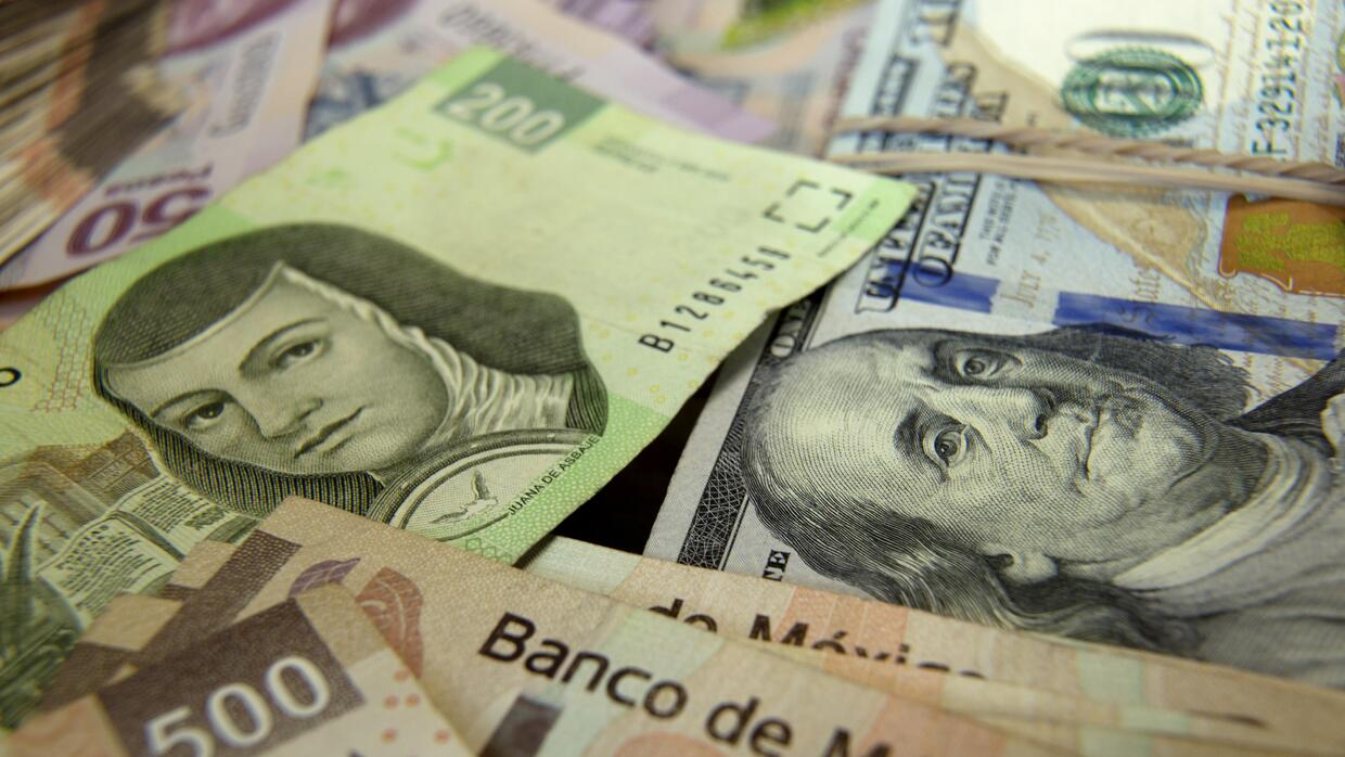 Where do seized Narco Fortunes go? | Noticias Univision Narcotráfico | Univision