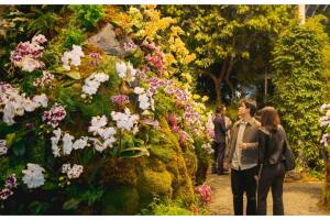 El show de orquídeas de Nueva York 2023