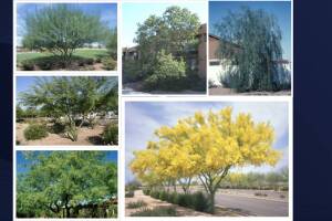 MUJER (6) (1) (12).jpg