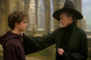 minerva_mcgonagall_y_harry_potter.jpg
