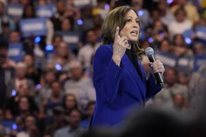Election 2024 Harris