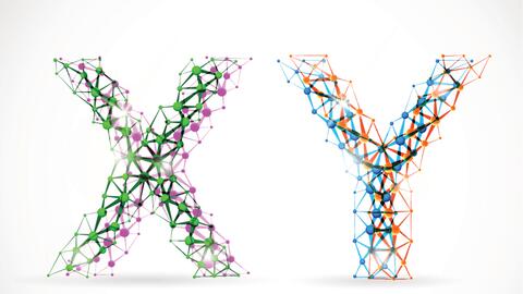 Cuanto Tiempo Vive Un Espermatozoide Explora Univision Cuanto Tiempo Vive Un Espermatozoide Explora Univision