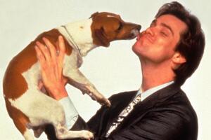 The Mask 1994 Jim Carrey Milo Perro Grosby.jpg