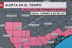 WhatsApp Image 2024-03-15 at 7.15.13 PM.jpeg