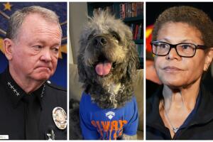 ¿Había que matar a Jameson? Jefe del LAPD se compromete a revelar qué pasó con el perro