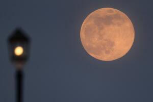 Superluna rosa