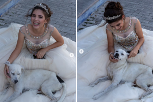 quinceanera-perrito (2).png