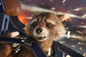 rocket_raccoon_2019.jpg