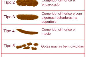 tipo-de-coco-1_1.jpg