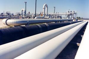 Explainer-Strategic Petroleum Reserve