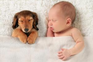 thinkstockphotos-516396521.jpg