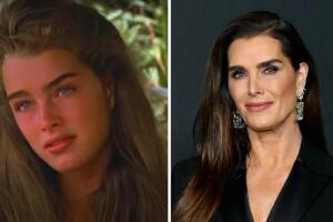 brooke-shields-antes-depois-0422-1400x800