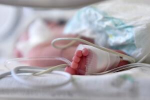 Newborn baby