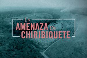 La amenaza de chiribiquete - Thumbnail