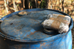 paquete con precursor.png