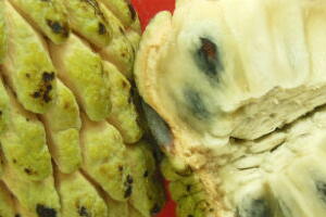 cancer-graviola-materia.jpg