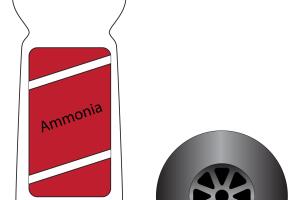 Cómo evitar que los roedores invadan tu auto