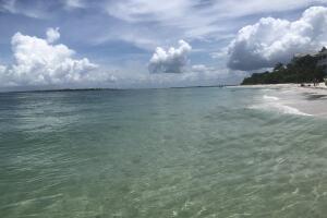 IMG_4296.jpeg
