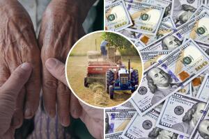 Así es como puedes solicitar el programa de CAPI, que ayuda a inmigrantes de 65 años o más. 