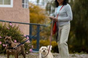 Doria Ragland paseando perros LA