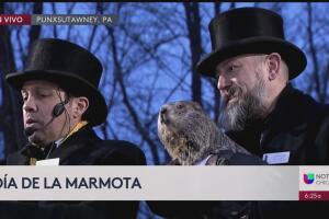 DÍA DE LA MARMOTA