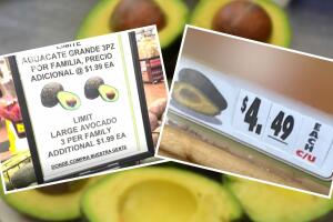 aguacate precio aumenta Dallas