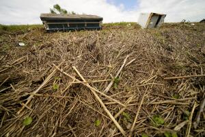 Hurricane Ida Recovering the Dead