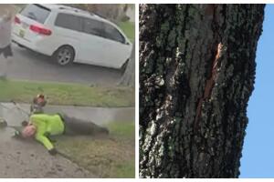 Daniel Sharkey atribuye su supervivencia a un árbol que desvió el impacto directo del rayo, salvándole la vida.