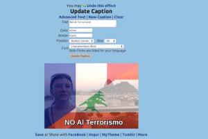 Filtro para banderas de Luna Pic