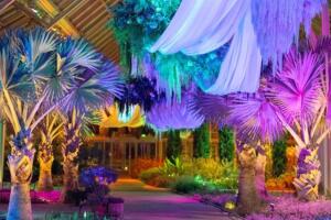 Suspended Dreamscape de  Jennifer Reed