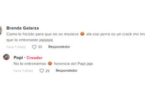 Dueña de Junior explica el comportamiento de su mascota